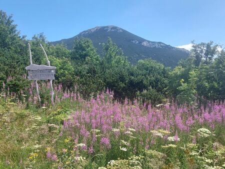 Foto Občina Ilirska Bistrica (3)
